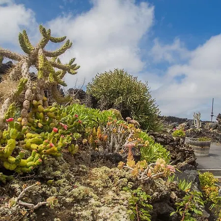 Eco Finca Los Frailes Lanzarote Apartment Tinajo