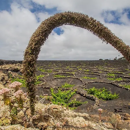 Eco Finca Los Frailes Lanzarote * Tinajo
