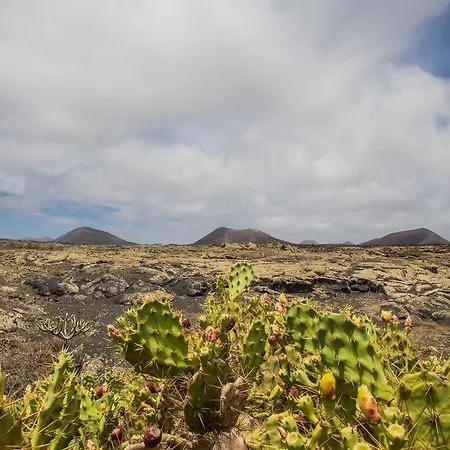 Eco Finca Los Frailes Lanzarote 아파트 *